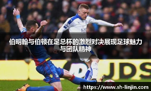 米兰在线官网