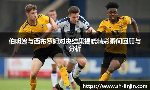 米兰在线官网